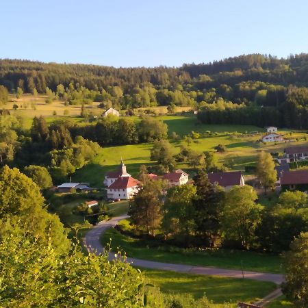 La Mansarde Aux Digitales Bed & Breakfast La Croix-aux-Mines Exterior photo