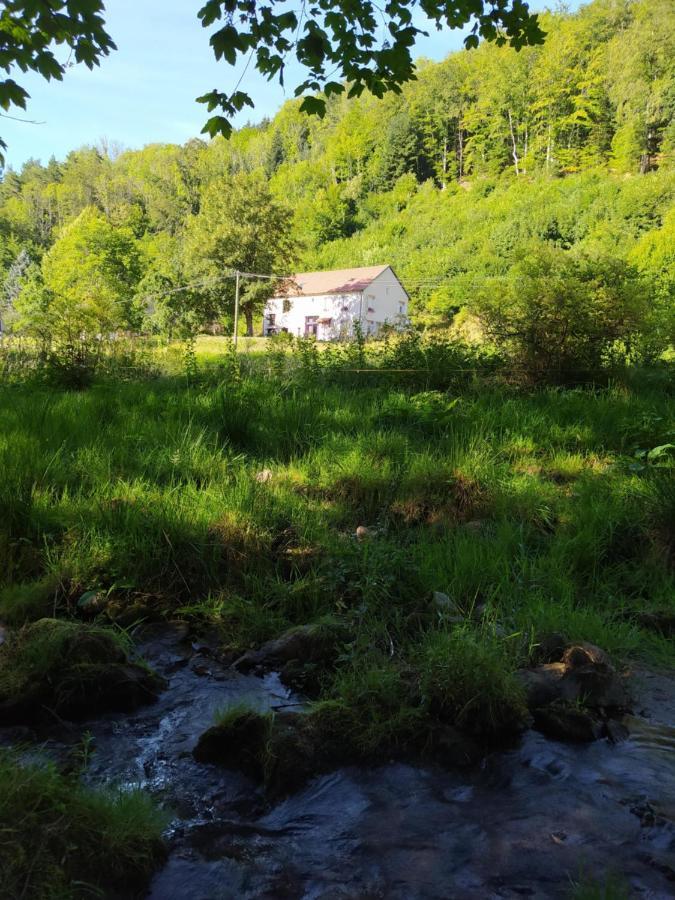 La Mansarde Aux Digitales Bed & Breakfast La Croix-aux-Mines Exterior photo