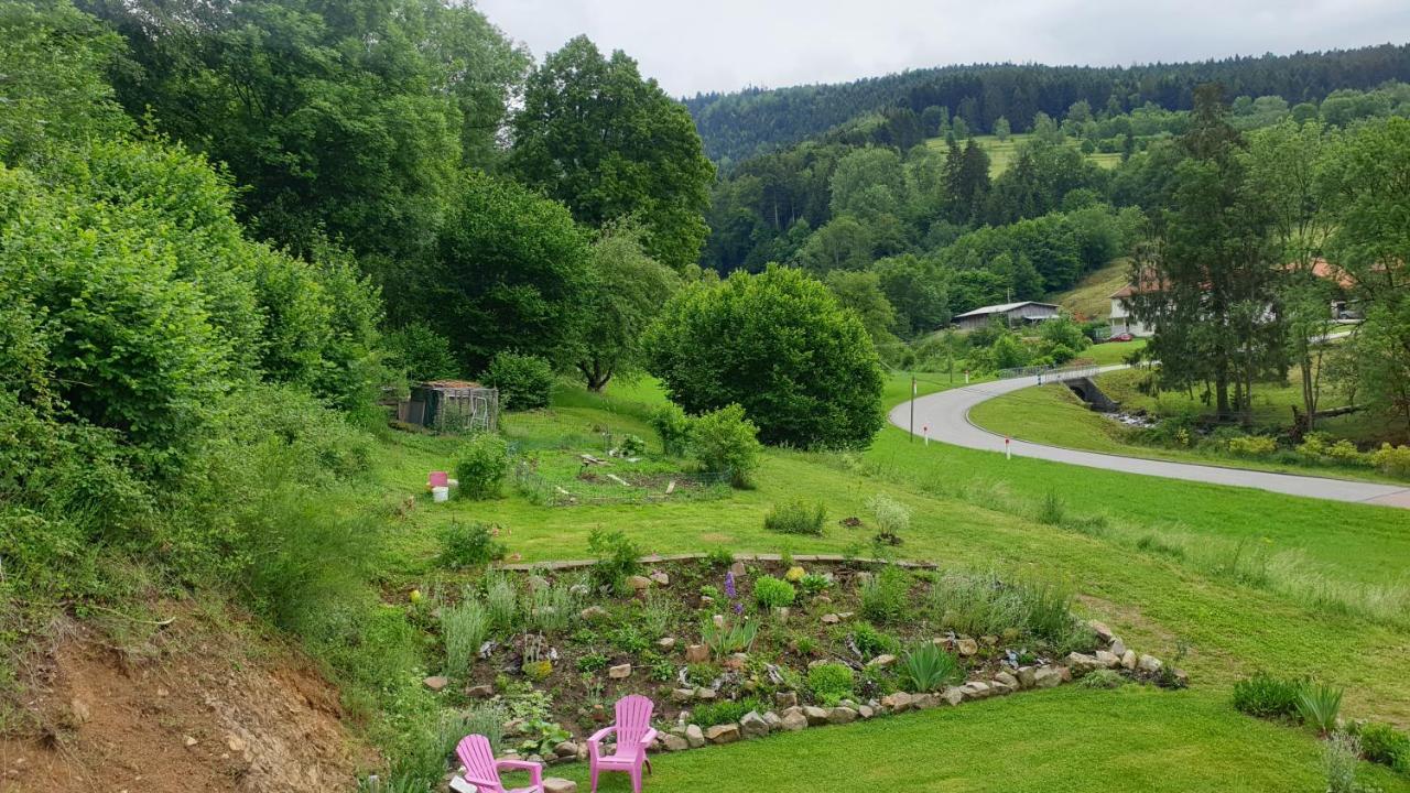 La Mansarde Aux Digitales Bed & Breakfast La Croix-aux-Mines Exterior photo