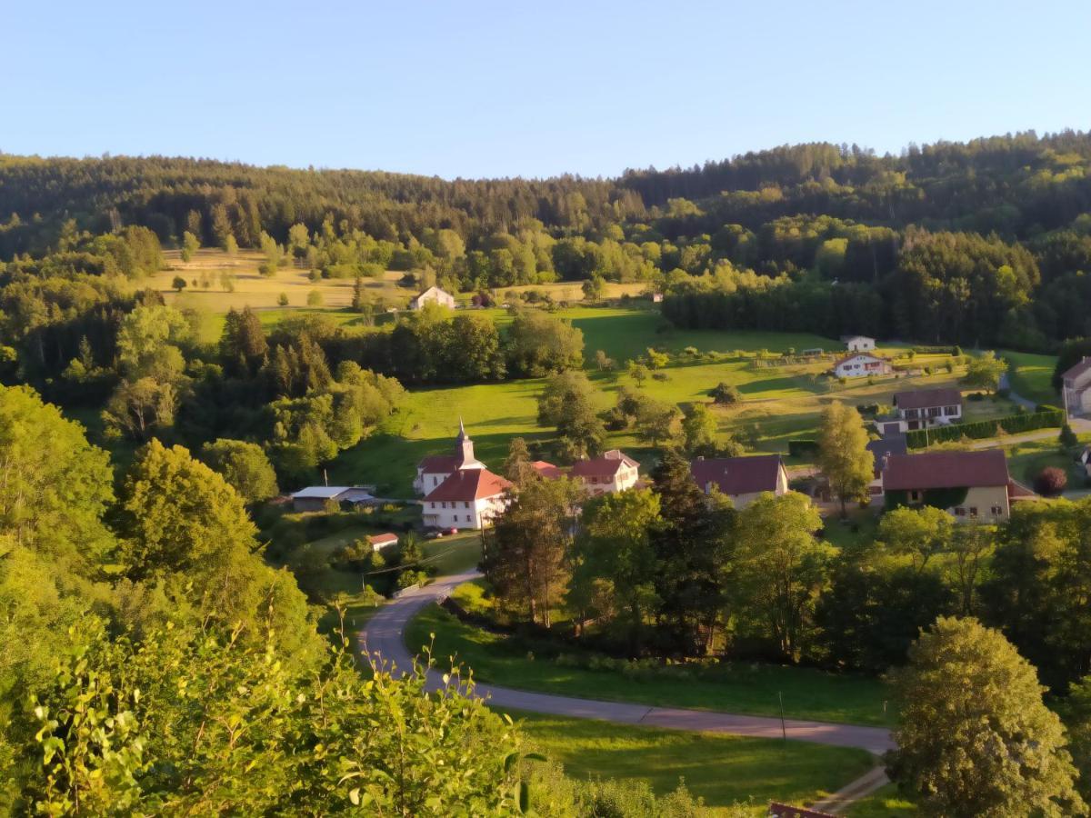 La Mansarde Aux Digitales Bed & Breakfast La Croix-aux-Mines Exterior photo