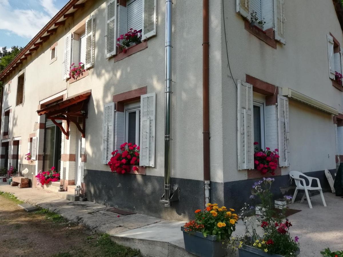 La Mansarde Aux Digitales Bed & Breakfast La Croix-aux-Mines Exterior photo